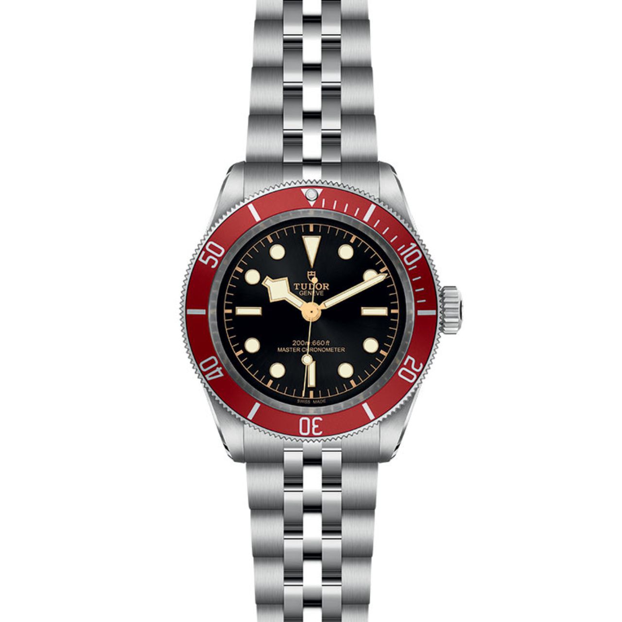 Tudor black bay rose logo 2025